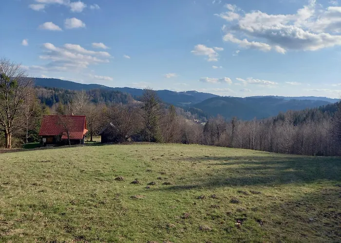 Alpesi faház Laka *